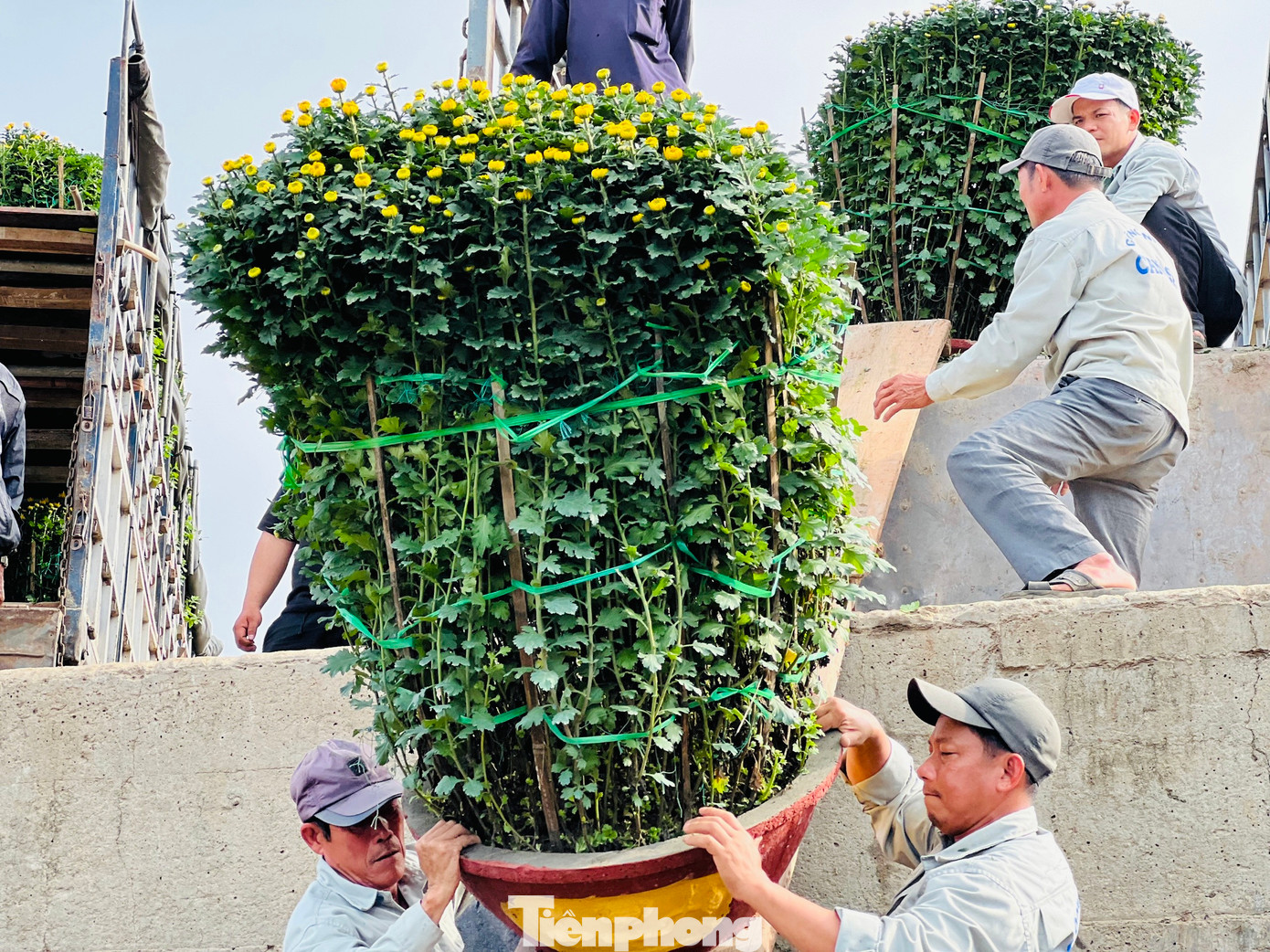 Các công nhân bốc vác hàng hóa cũng phải làm việc hết công suất để đưa hàng lên các tàu.