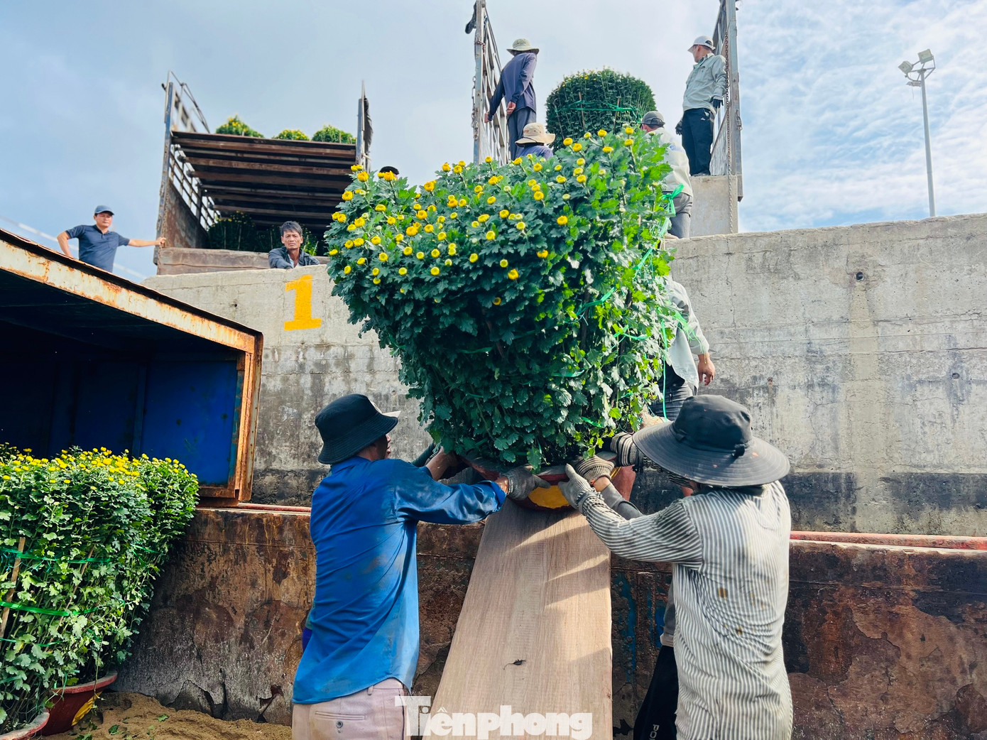 Các công nhân bốc vác hàng hóa cũng phải làm việc hết công suất để đưa hàng lên các tàu.