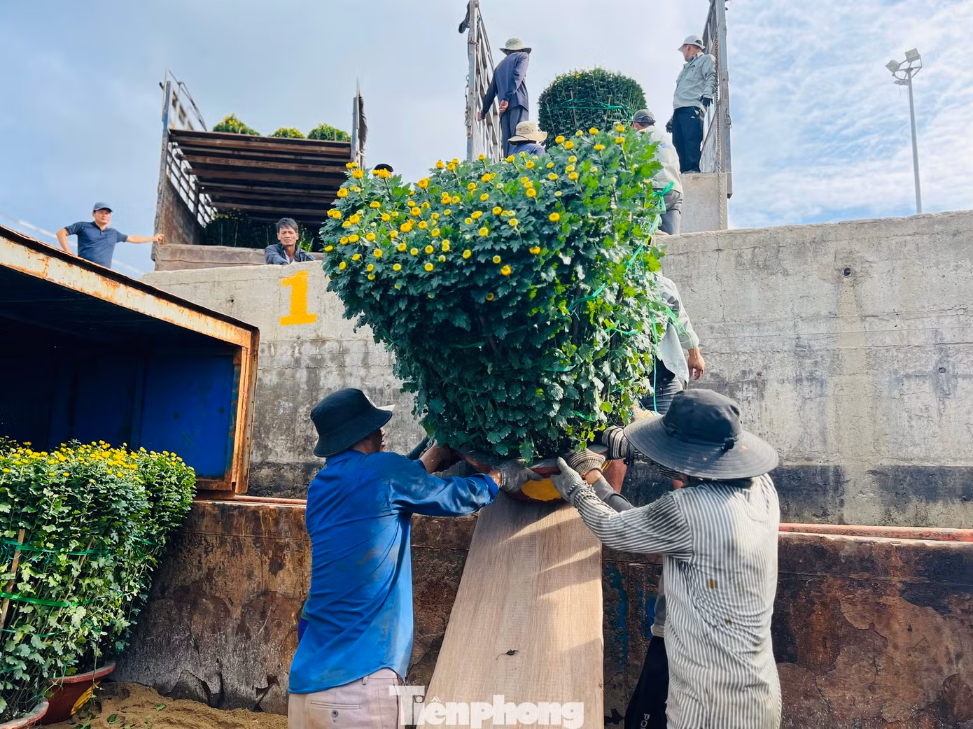 Các công nhân bốc vác hàng hóa cũng phải làm việc hết công suất để đưa hàng lên các tàu.