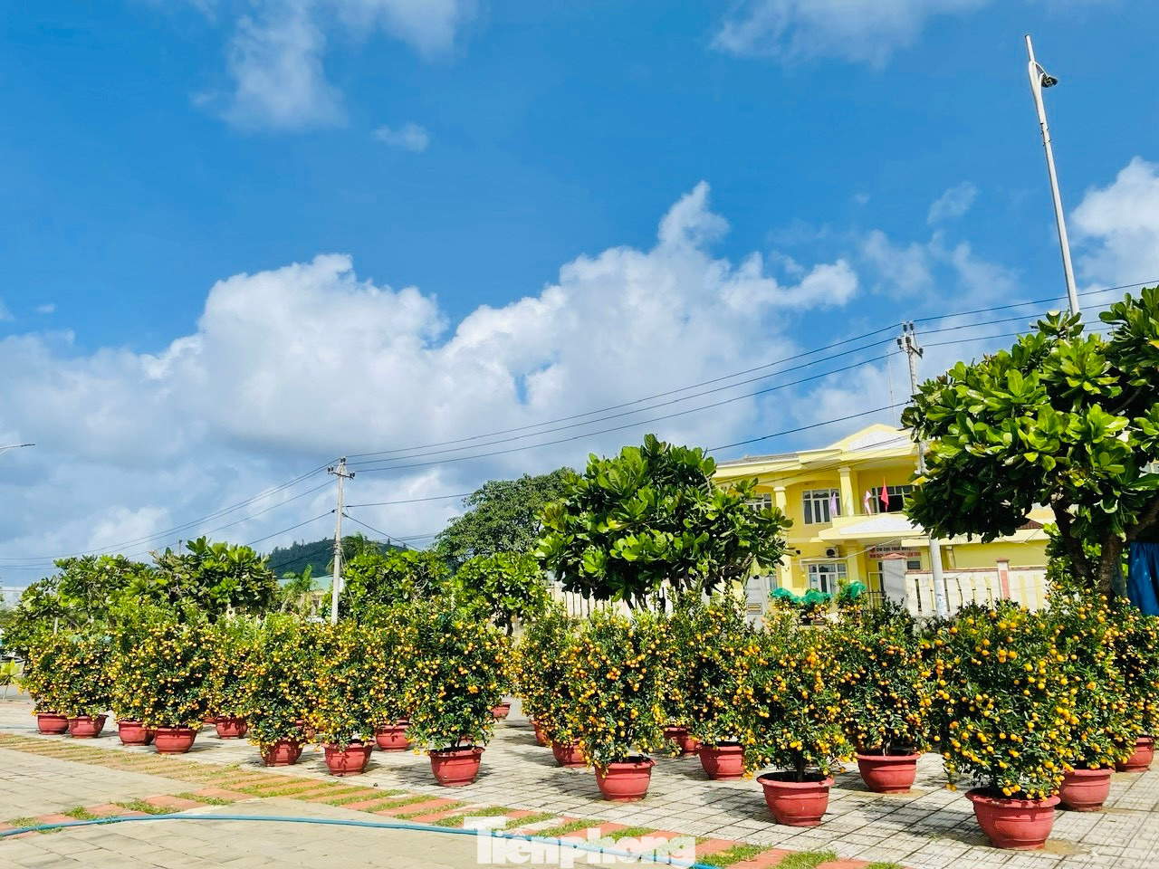 “Lượng hành khách ra đảo giảm nhiều. Một phần do thời tiết, khó khăn về kinh tế nên người dân về đảo ăn tết ít đi so với mọi năm”, bà Hương nói.