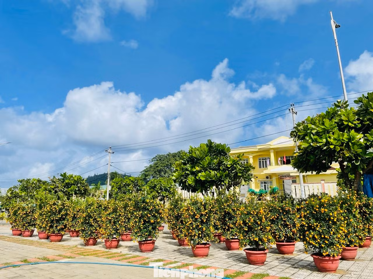 “Lượng hành khách ra đảo giảm nhiều. Một phần do thời tiết, khó khăn về kinh tế nên người dân về đảo ăn tết ít đi so với mọi năm”, bà Hương nói.