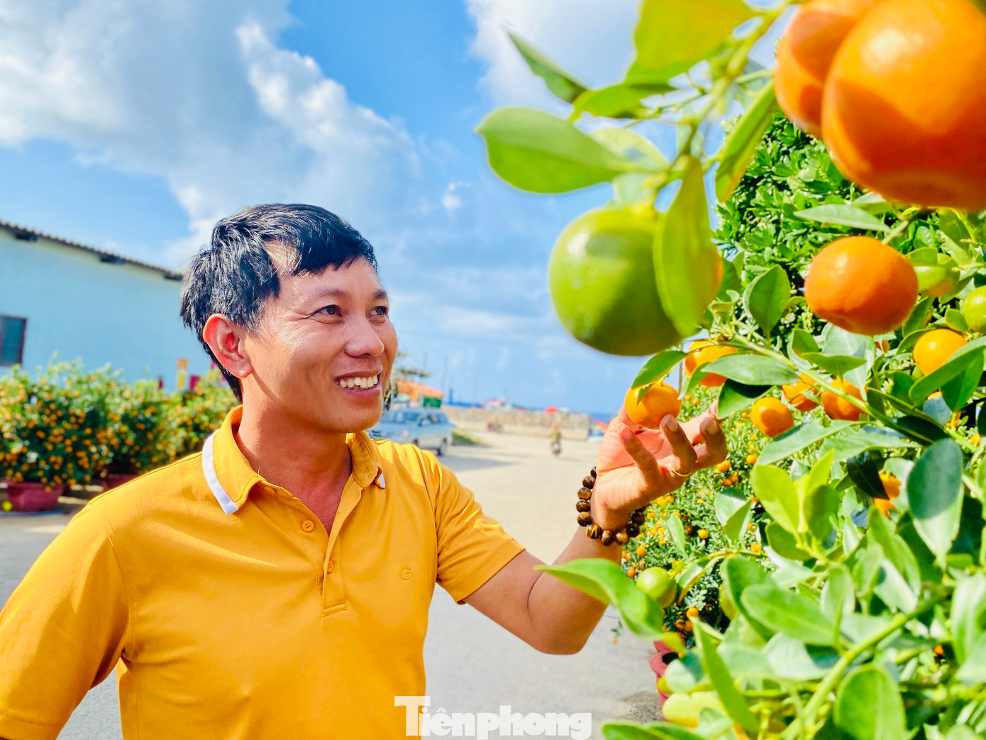 Trao đổi với PV, bà Phạm Thị Hương – Chủ tịch UBND huyện Lý Sơn cho biết, hàng hóa năm nay trên đảo rất đa dạng và phong phú. Giờ nơi nào trên đảo cũng rực rỡ sắc màu hoa cúc, hoa mai, quất cảnh. Để bình ổn giá không để xảy ra tình trạng đầu cơ, ghim hàng, trục lợi trong dịp Tết, huyện đã giao cơ quan chức năng nắm chắc tình hình buôn bán và niêm yết giá của các đại lý, cửa hàng.