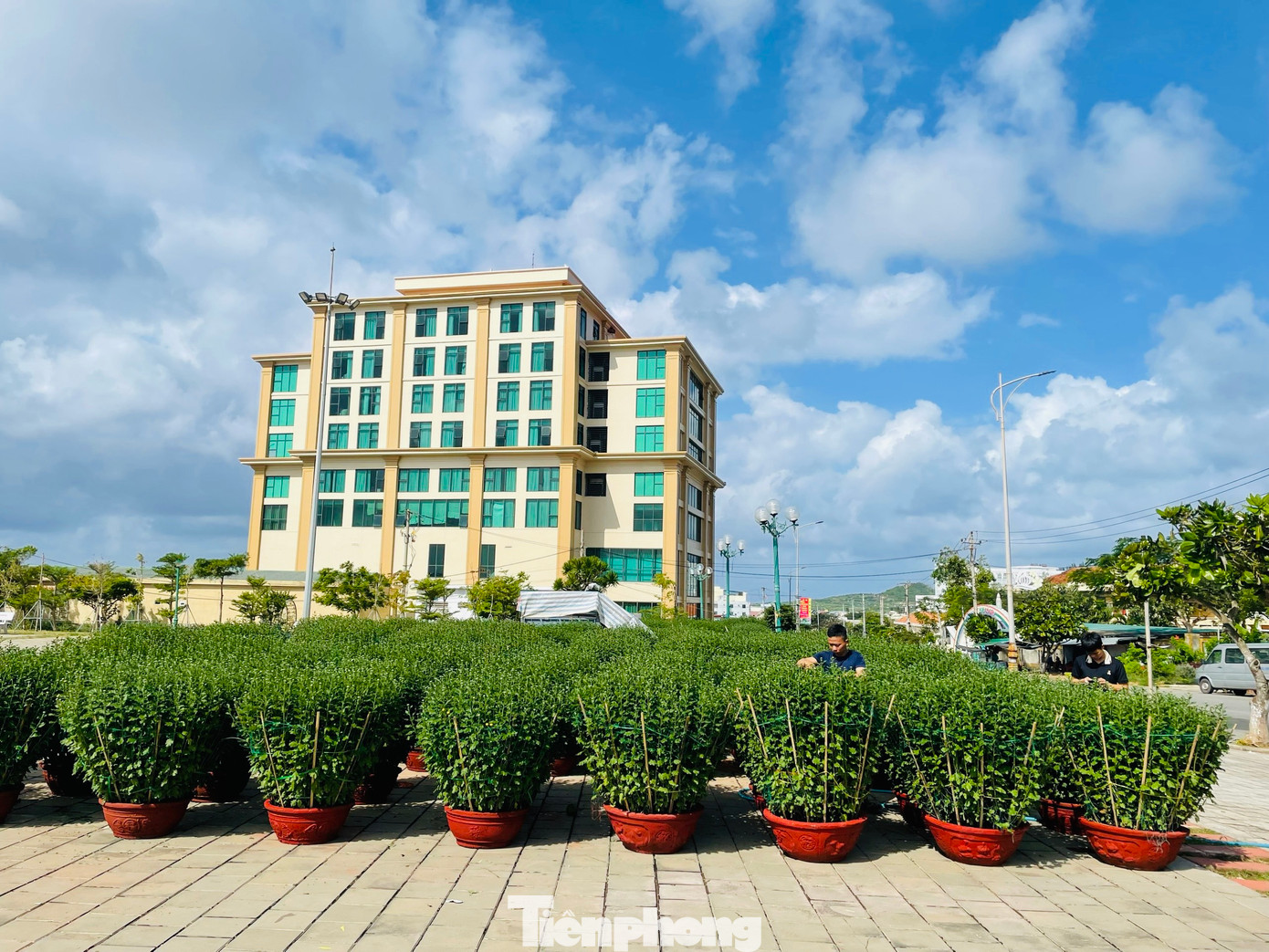 Hiện không khí mùa xuân đang tràn ngập khắp huyện đảo. Những băng rôn, khẩu hiệu chào đón mùa xuân mới càng làm cho không khí xuân Giáp Thìn 2024 thêm rộn ràng và ấm áp.