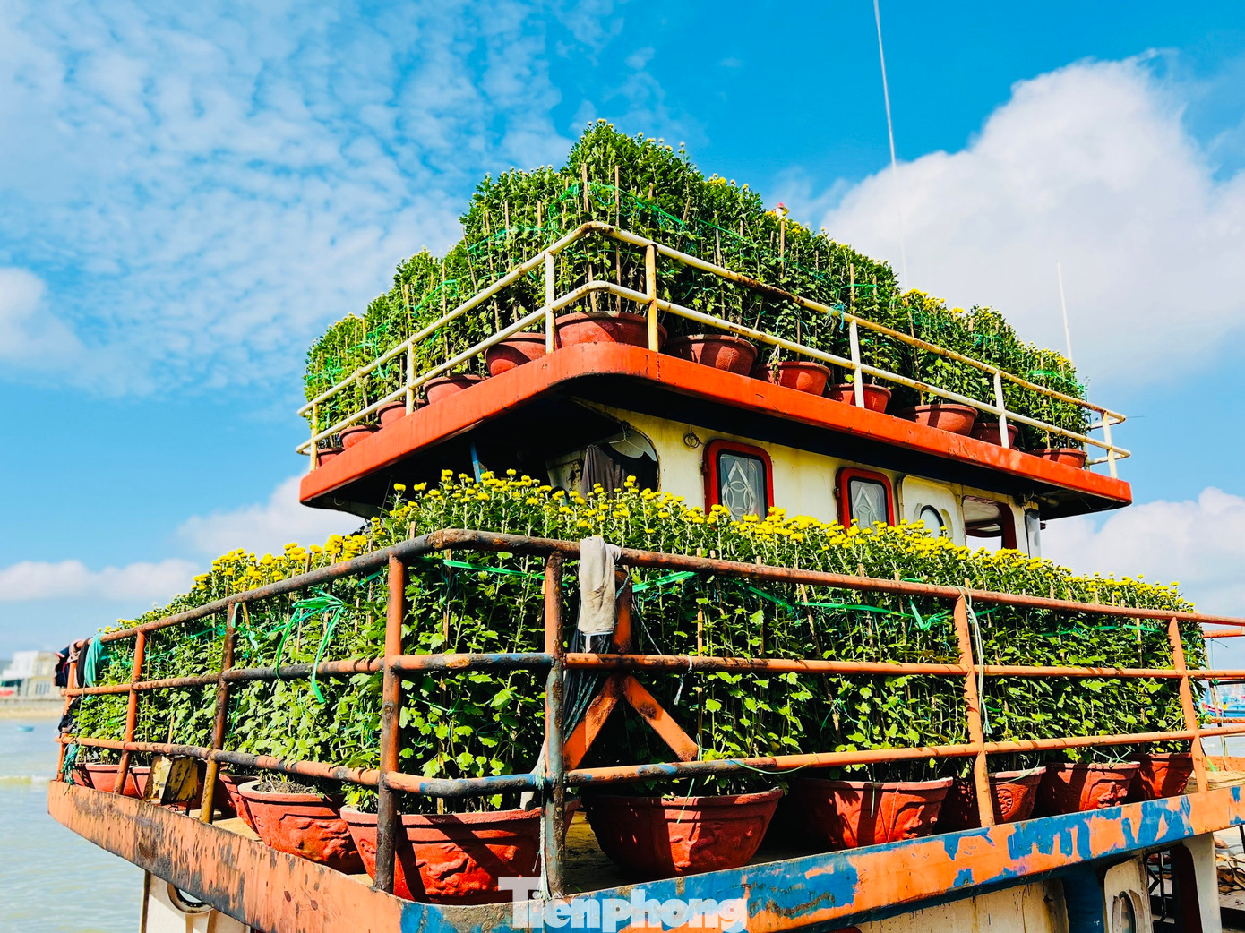 Các tàu vận tải hàng hóa trên tuyến Sa Kỳ - Lý Sơn hoạt động liên tục với 200 tấn hàng mỗi ngày để “chở Tết” ra đảo Lý Sơn phục vụ và đáp ứng đủ nhu cầu của hơn 22.000 dân trên đảo.