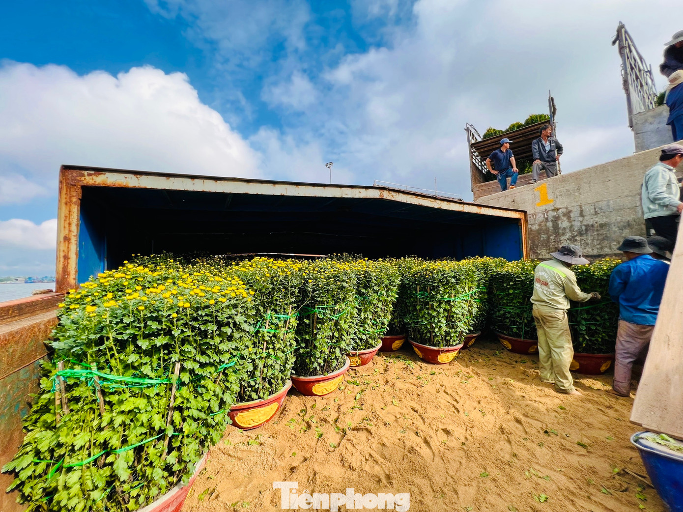 Các tàu vận tải hàng hóa trên tuyến Sa Kỳ - Lý Sơn hoạt động liên tục với 200 tấn hàng mỗi ngày để “chở Tết” ra đảo Lý Sơn phục vụ và đáp ứng đủ nhu cầu của hơn 22.000 dân trên đảo.