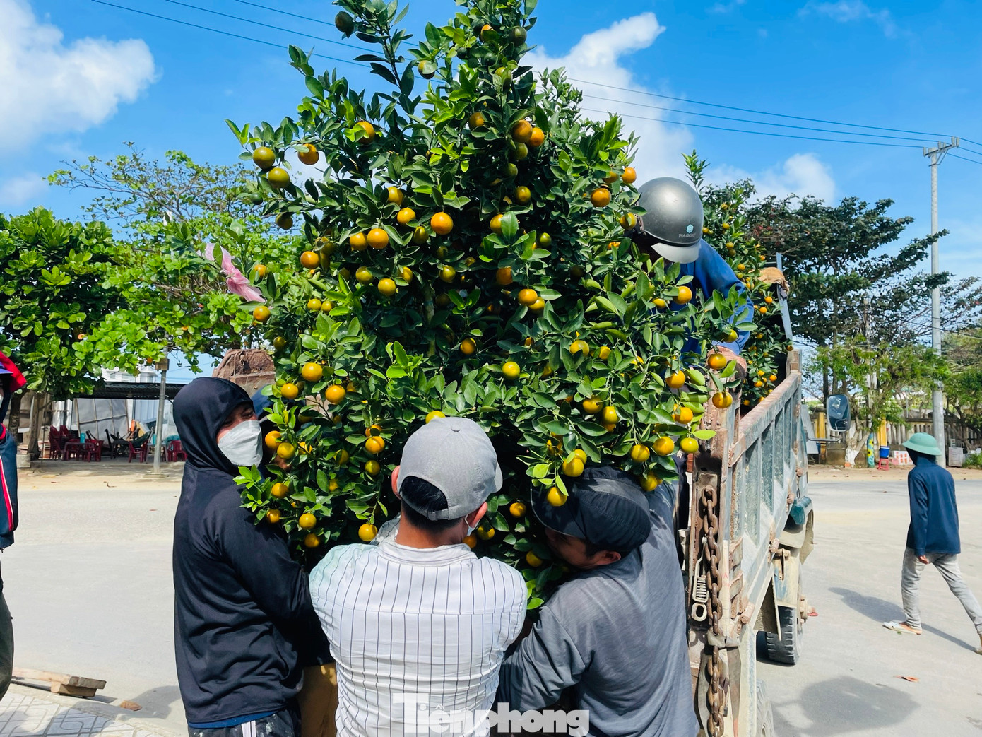 “Lượng hành khách ra đảo giảm nhiều. Một phần do thời tiết, khó khăn về kinh tế nên người dân về đảo ăn tết ít đi so với mọi năm”, bà Hương nói.