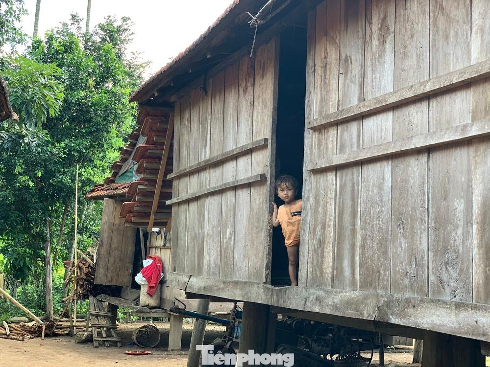 Chính sách hỗ trợ thoát nghèo nhưng chi sai đối tượng ở nhiều địa phương miền núi tỉnh Quảng Ngãi. Chính sách hỗ trợ thoát nghèo nhưng chi sai đối tượng ở nhiều địa phương miền núi tỉnh Quảng Ngãi.