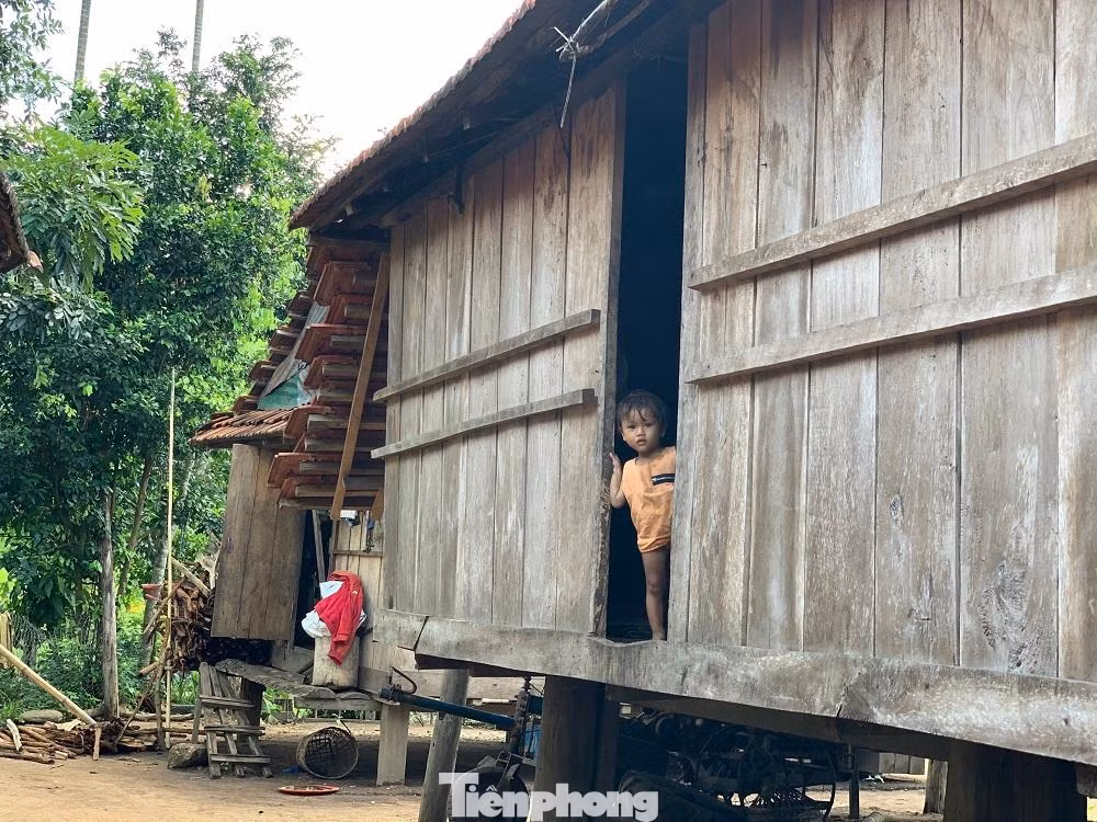 Chính sách hỗ trợ thoát nghèo nhưng chi sai đối tượng ở nhiều địa phương miền núi tỉnh Quảng Ngãi.