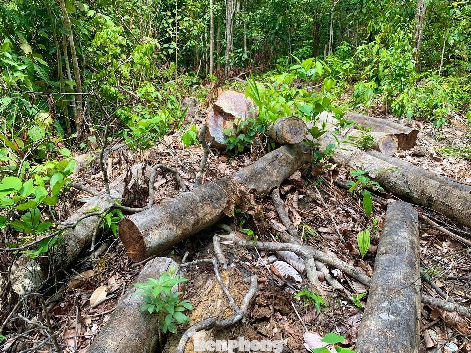 Hiện trường tan hoang. Ảnh: Nguyễn Ngọc