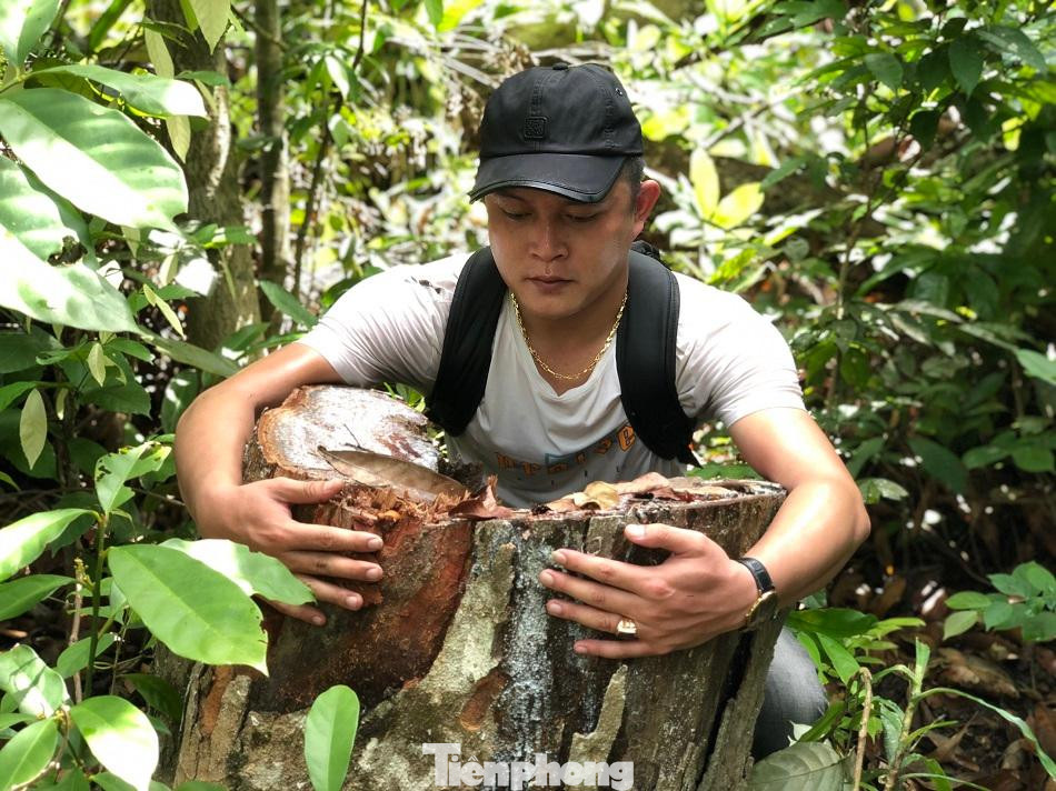 Phóng viên tại hiện trường vụ phá rừng - ảnh Nguyễn Ngọc Phóng viên tại hiện trường vụ phá rừng - ảnh Nguyễn Ngọc