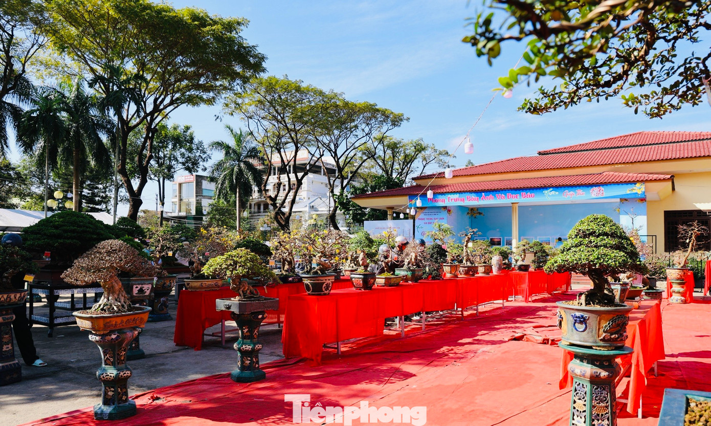 Triển lãm cây cảnh nghệ thuật chào Xuân Giáp Thìn 2024 tại Quảng trường đường Phạm Văn Đồng (TP. Quảng Ngãi).