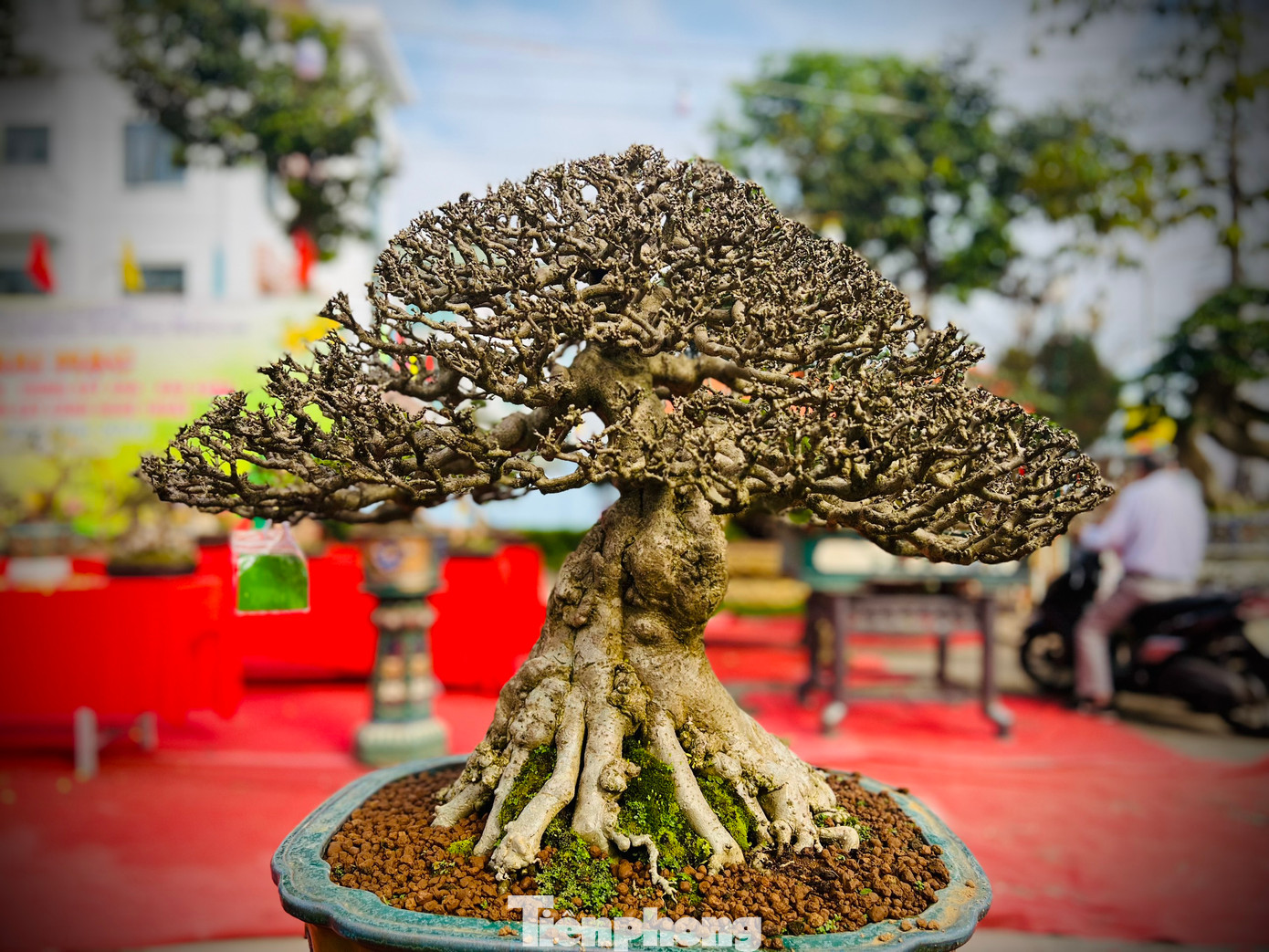 Các tác phẩm đa dạng về kích thước, chủng loại.