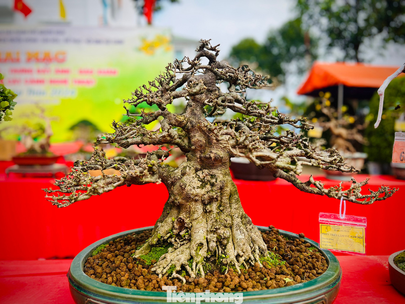 Các tác phẩm đa dạng về kích thước, chủng loại.