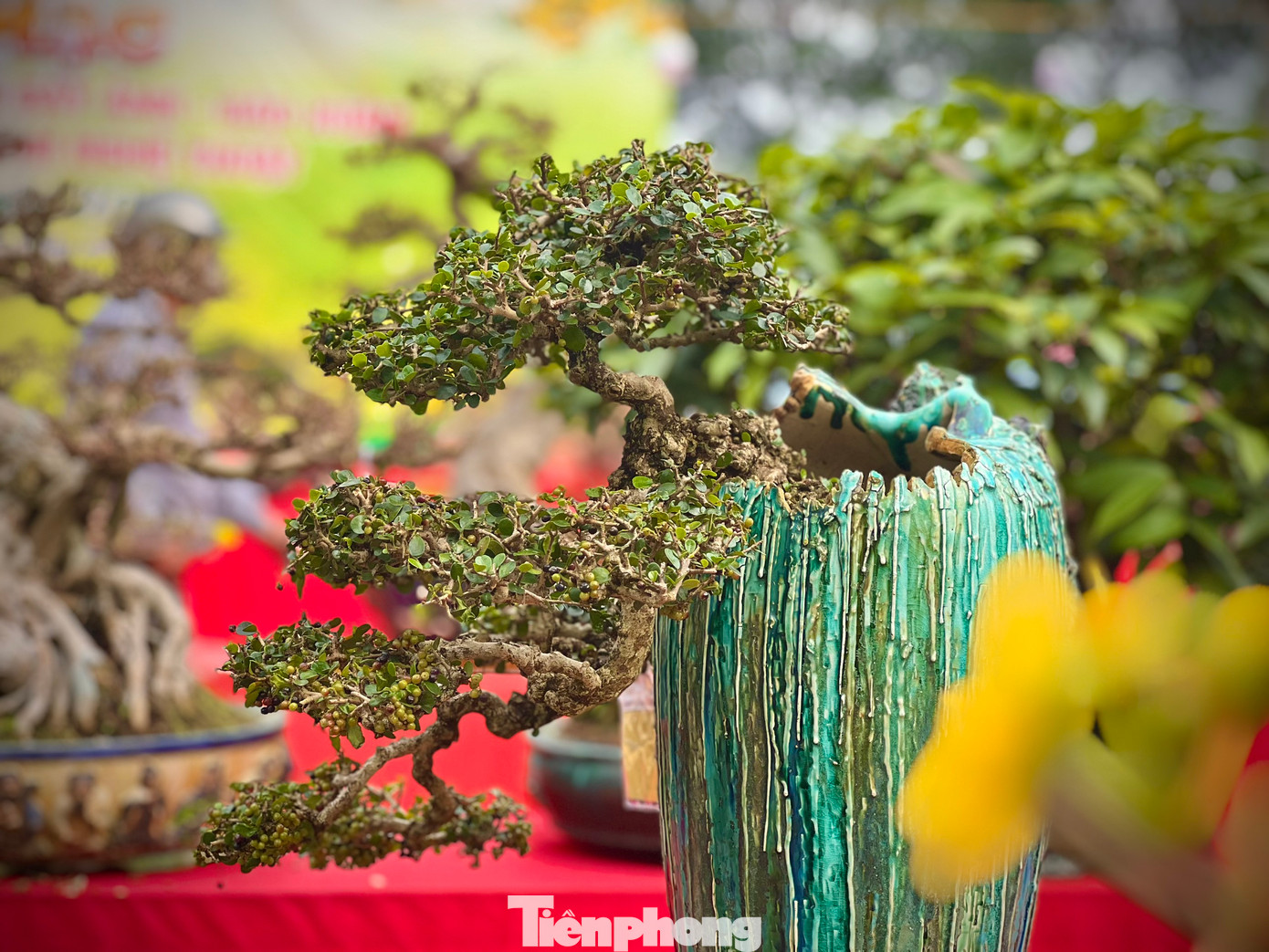 Các tác phẩm đa dạng về kích thước, chủng loại.