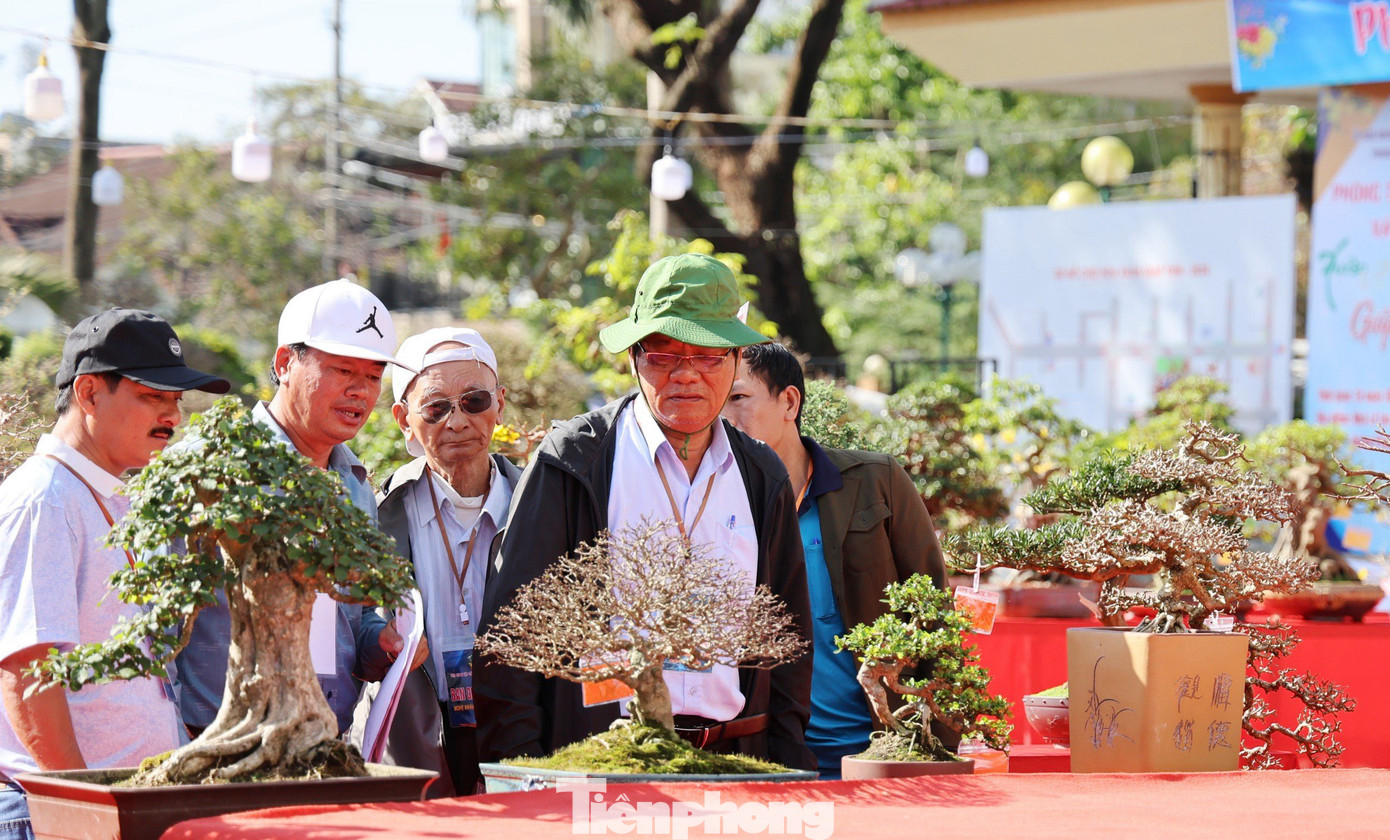 Chủ tịch Hội Sinh vật cảnh TP. Quảng Ngãi Hoàng Văn Thụ cho biết, các nghệ nhân mang những tác phẩm bonsai tâm huyết nhất của mình đến tham dự triển lãm. Chính vì vậy, chất lượng các tác phẩm khá cao, đáp ứng các tiêu chí “cổ, kỳ, mỹ”.