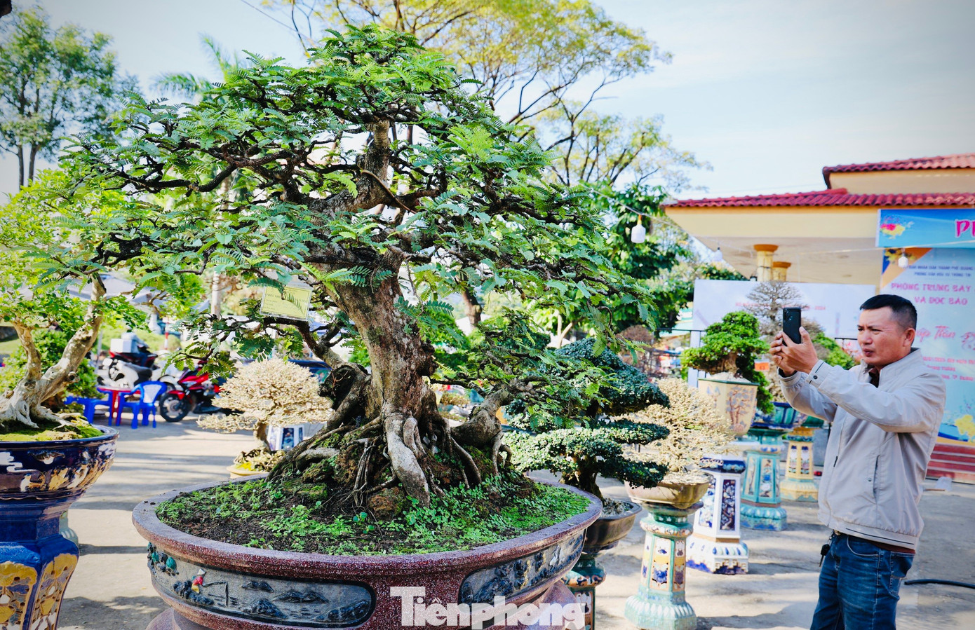 Người dân thích thú chụp hình, lưu lại những tác phẩm đẹp.