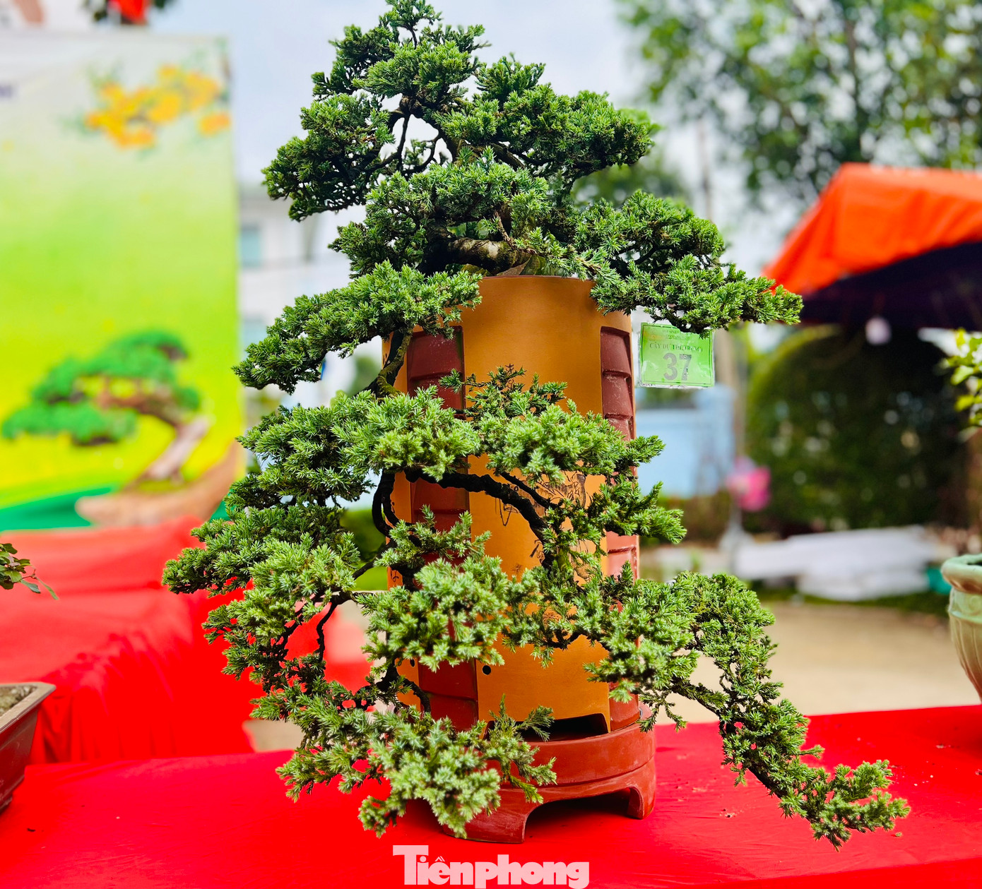 Các tác phẩm đa dạng về kích thước, chủng loại.