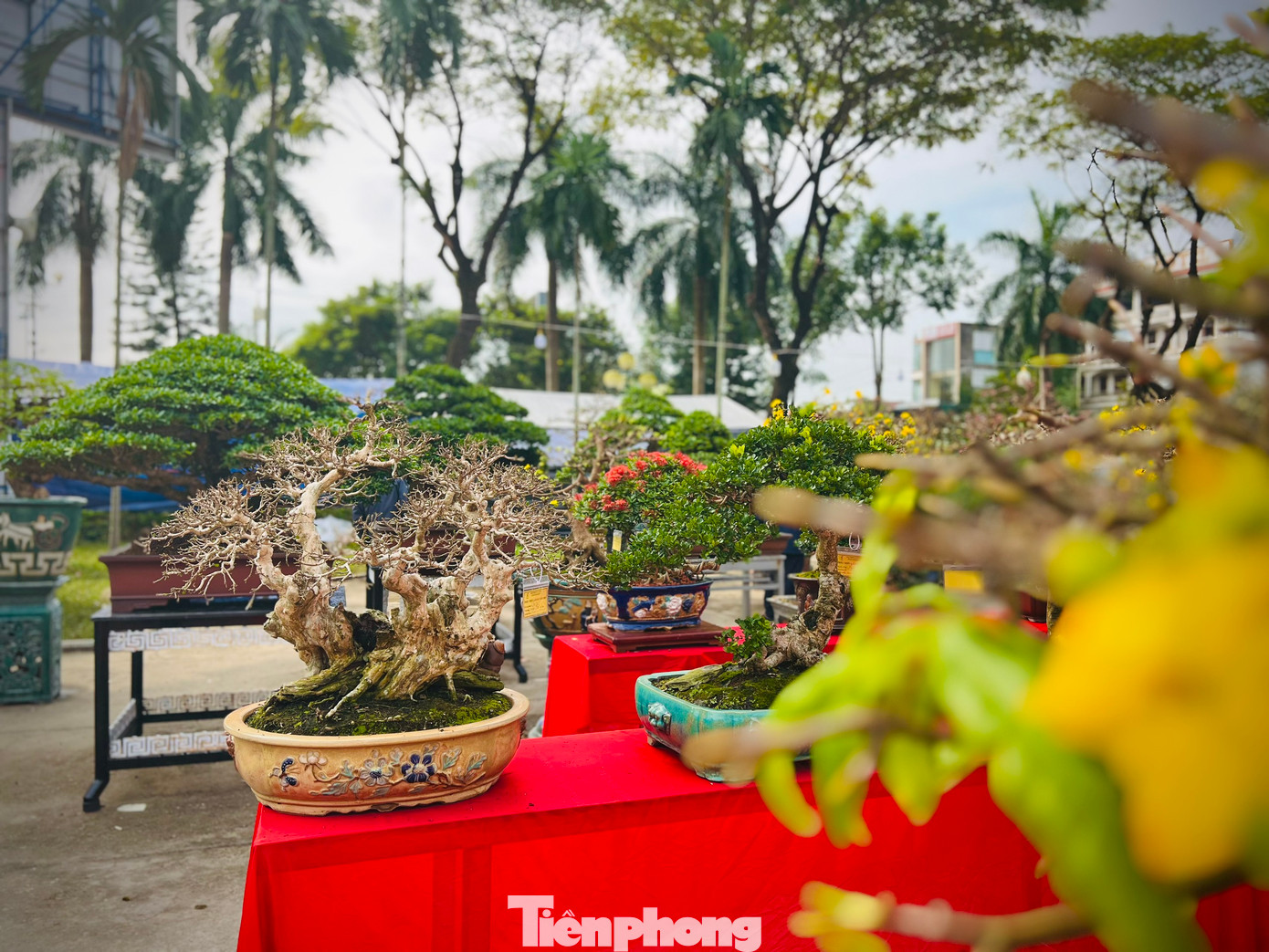 “Ngoài triển lãm, Ban tổ chức sẽ chấm điểm và dự kiến sẽ trao giải cho các tác phẩm dự thi”, ông Thụ nói.