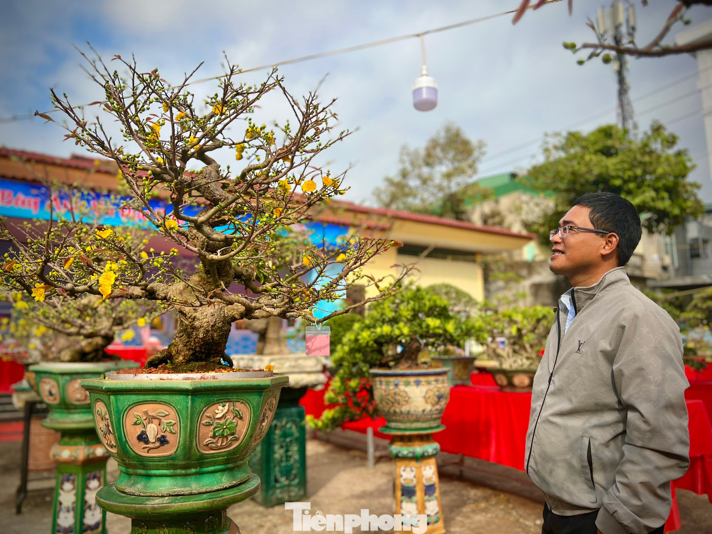 Triển lãm cây cảnh nghệ thuật chào Xuân Giáp Thìn 2024 còn tạo sân chơi lành mạnh cho những người có niềm đam mê, yêu thích với sinh vật cảnh.