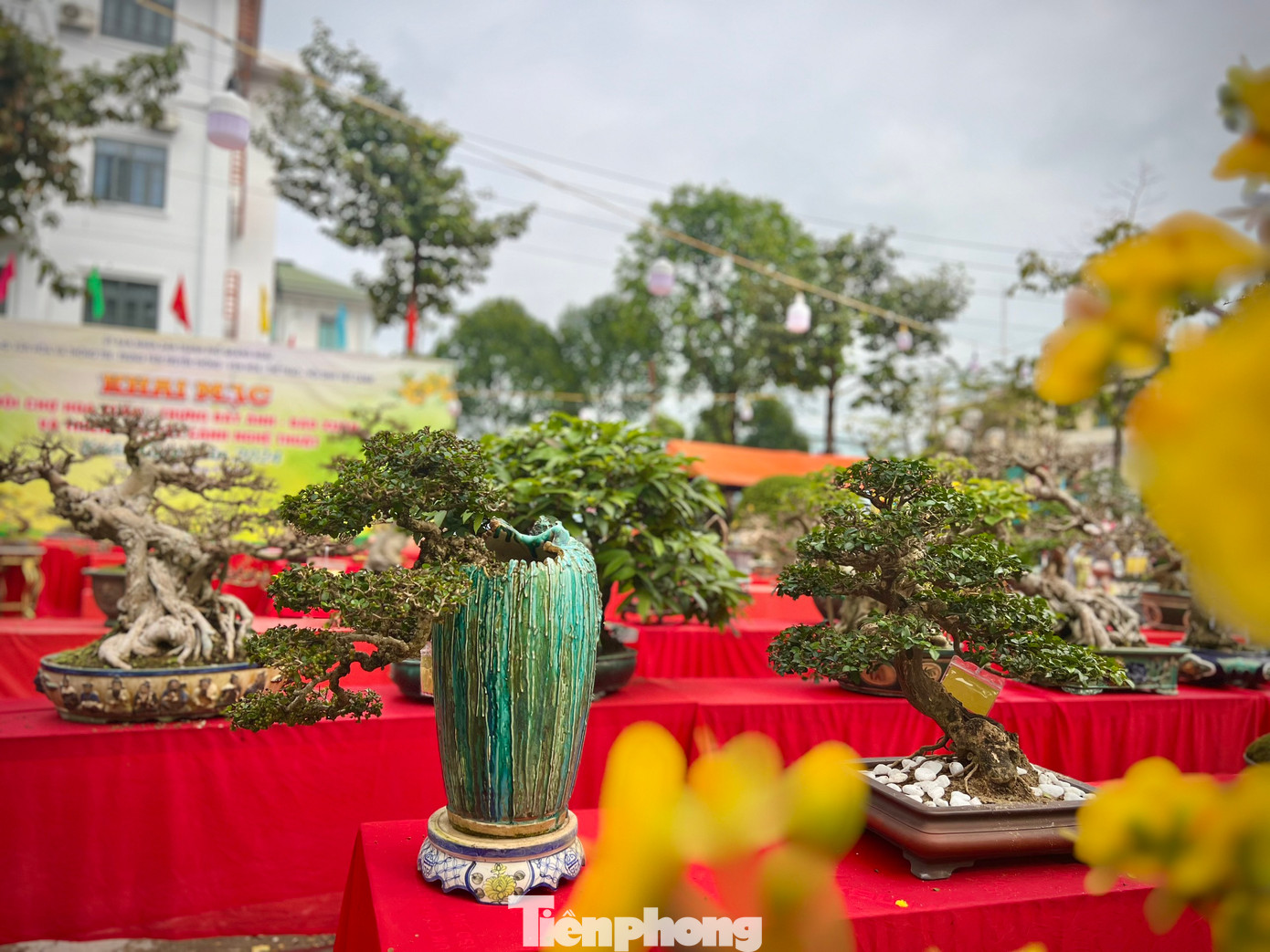 “Ngoài triển lãm, Ban tổ chức sẽ chấm điểm và dự kiến sẽ trao giải cho các tác phẩm dự thi”, ông Thụ nói.