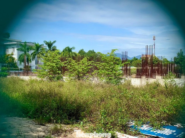 Những bãi cọc bê tông nham nhở.