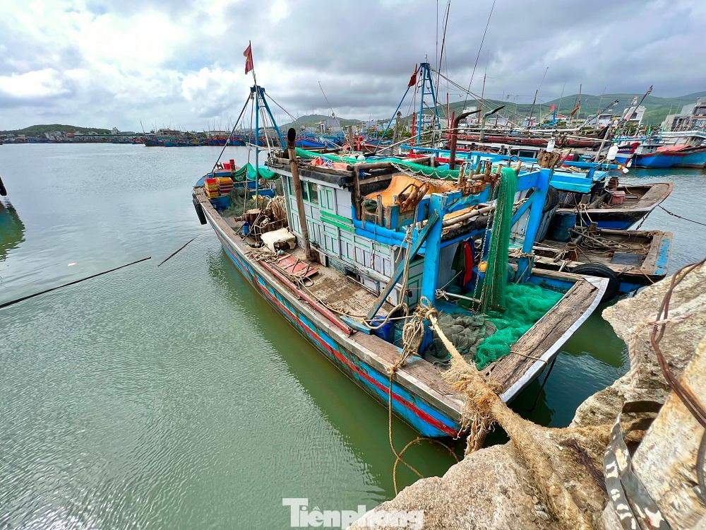 “Chính quyền địa phương cũng đã nhiều lần báo cáo lên cấp trên và tỉnh cũng đã có chủ trương. Việc đầu tư xây mới cầu Thạnh Đức là rất cần thiết và cấp bách nhằm đảm bảo an toàn cho người, phương tiện tham gia giao thông, nhất là trong mùa mưa bão. Nhằm đảm an toàn cho người dân và phương tiện qua lại, chính quyền địa phương cũng đã tiến hành cắm các biển báo cấm các phương tiện có trọng tải lớn đi qua cây cầu này”, ông Giàu nói thêm.