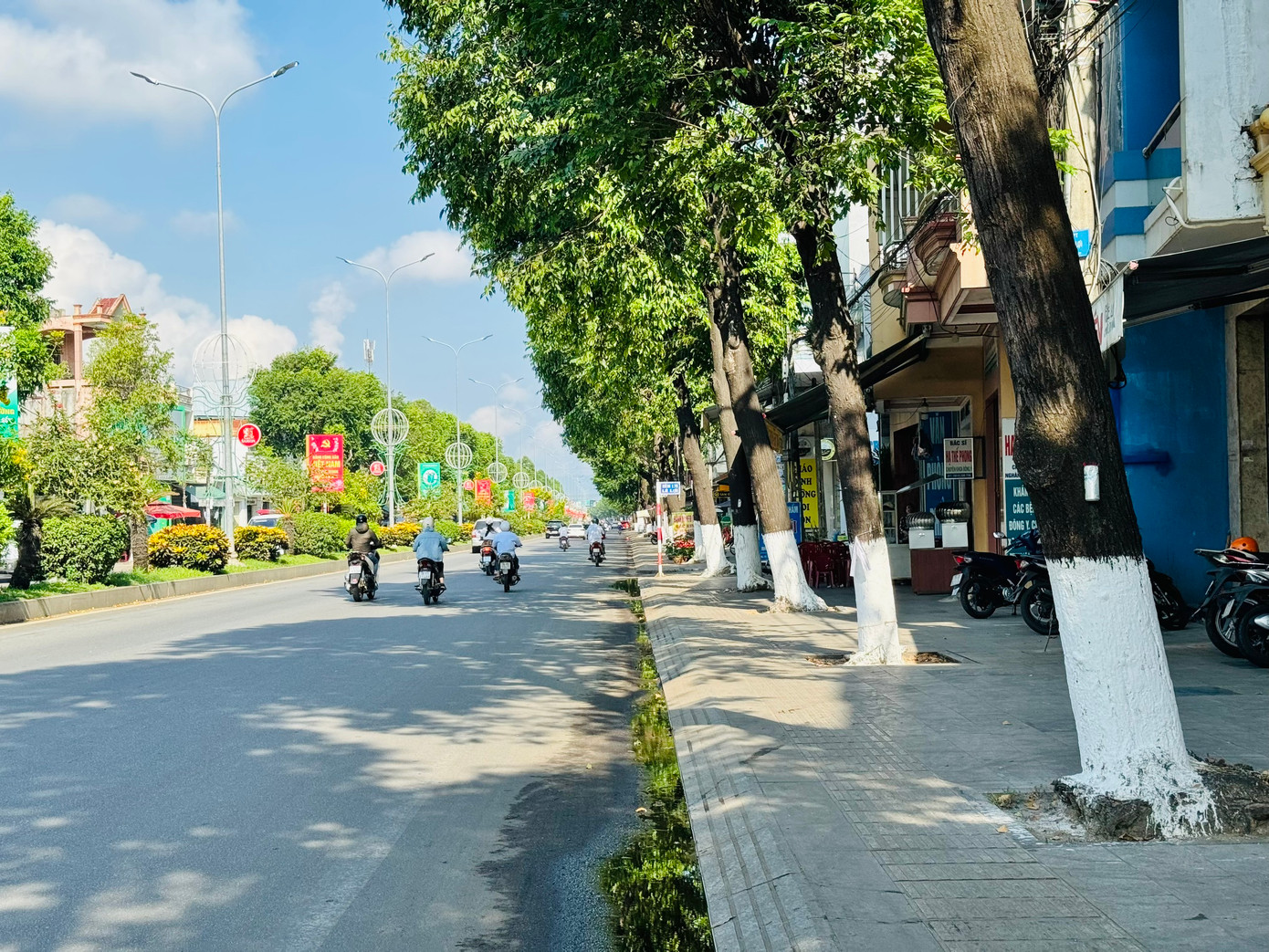 Trong số 13 dự án, có một dự án do Công ty TNHH cây xanh Công Minh liên doanh với một đơn vị khác thực hiện ở thị xã Đức Phổ.