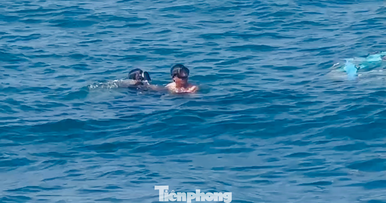 Các thợ lặn nỗ lực tìm kiếm 2 ngư dân mất tích. Các thợ lặn nỗ lực tìm kiếm 2 ngư dân mất tích.