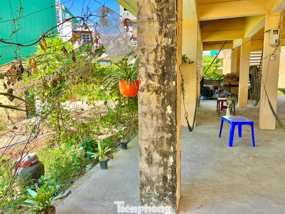 Đã hơn 5 năm sau khi hoàn thiện, khu chợ khang trang từ nguồn xã hội hóa, do UBND huyện Tư Nghĩa làm chủ đầu tư, xây trên diện tích 4.800m2, gồm nhà lồng có 32 lô sạp, 2 dãy 20 ki ốt, tổng vốn đầu tư gần 5 tỷ đồng ở xã Nghĩa Phương vẫn bỏ hoang. Một số công trình, hạng mục phơi nắng, phơi mưa đang dần xuống cấp.