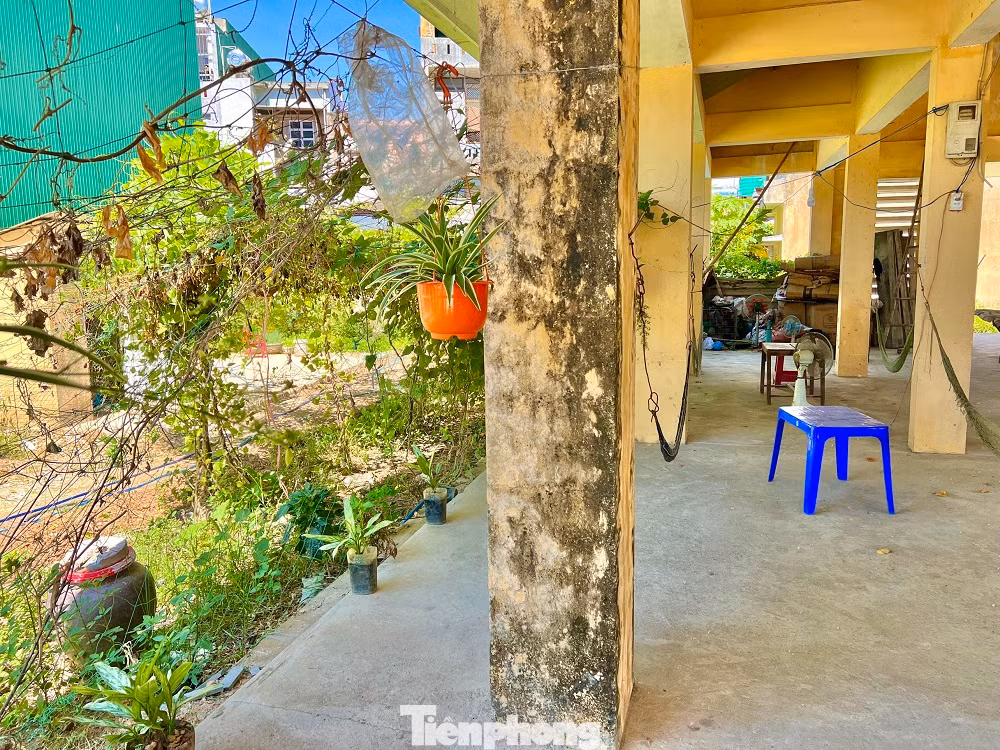 Đã hơn 5 năm sau khi hoàn thiện, khu chợ khang trang từ nguồn xã hội hóa, do UBND huyện Tư Nghĩa làm chủ đầu tư, xây trên diện tích 4.800m2, gồm nhà lồng có 32 lô sạp, 2 dãy 20 ki ốt, tổng vốn đầu tư gần 5 tỷ đồng ở xã Nghĩa Phương vẫn bỏ hoang. Một số công trình, hạng mục phơi nắng, phơi mưa đang dần xuống cấp.