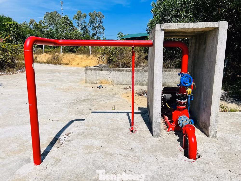 Lý giải nguyên nhân không vào chợ mới buôn bán, các tiểu thương cho rằng, do mức thuê lô sạp giá quá cao và phải nộp tiền thuê lô sạp một lần lên đến vài chục triệu đồng, vượt quá khả năng của tiểu thương, nên họ chấp nhận kinh doanh tại khu chợ tạm.