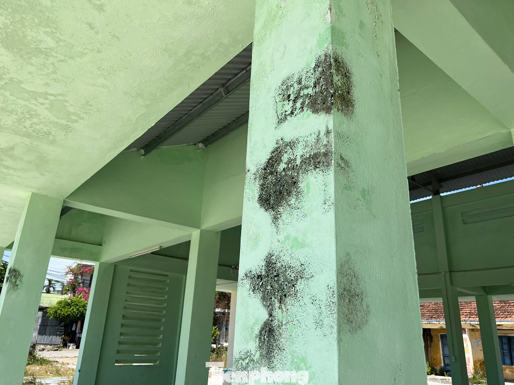 Xung quanh chợ, cỏ dại đã bắt đầu mọc và một số vị trí trên tường bị thấm mốc, xuống cấp.