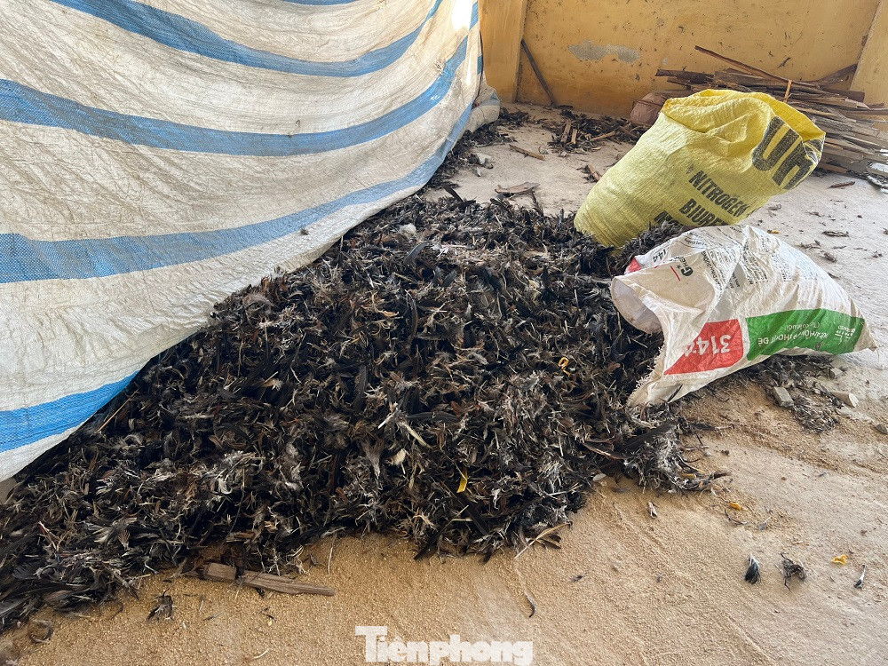 Thời gian qua, khu vực nhà lồng trở thành nơi phơi, chứa lông gà, vịt của người dân, còn xung quanh chợ cỏ dại mọc um tùm. Hỏi người dân địa phương, ai cũng xót của khi thấy cơ sở vật chất khu chợ nhiều năm nay vẫn trong tình trạng bị bỏ không, rất hoang phí...