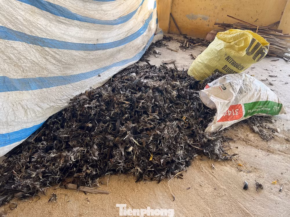 Thời gian qua, khu vực nhà lồng trở thành nơi phơi, chứa lông gà, vịt của người dân, còn xung quanh chợ cỏ dại mọc um tùm. Hỏi người dân địa phương, ai cũng xót của khi thấy cơ sở vật chất khu chợ nhiều năm nay vẫn trong tình trạng bị bỏ không, rất hoang phí...