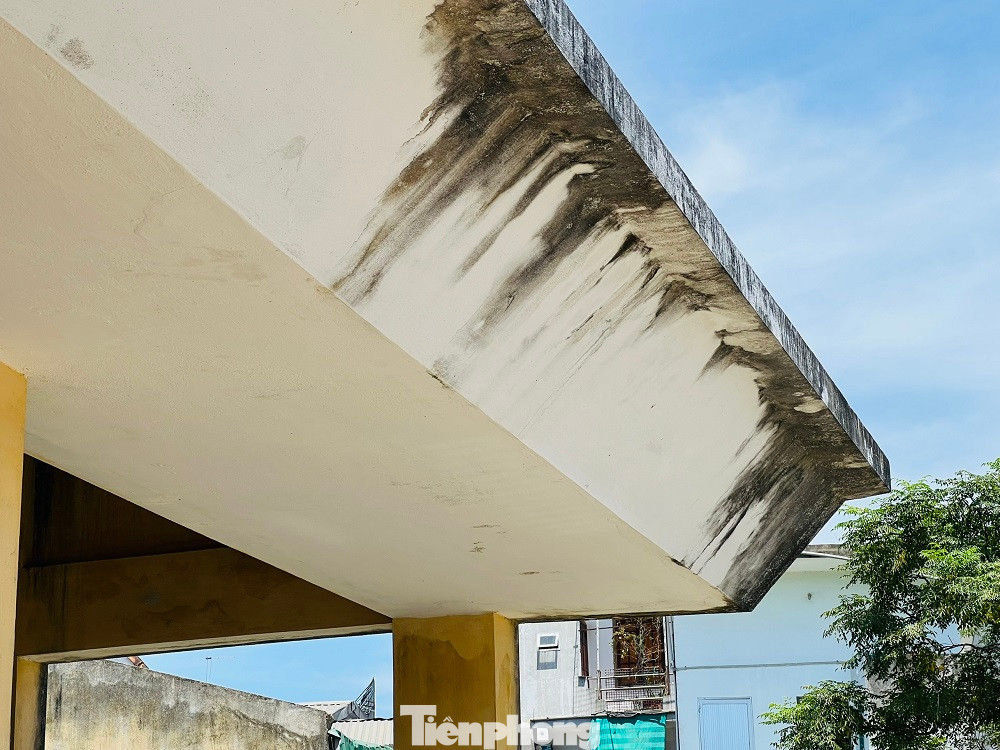 Đã hơn 5 năm sau khi hoàn thiện, khu chợ khang trang từ nguồn xã hội hóa, do UBND huyện Tư Nghĩa làm chủ đầu tư, xây trên diện tích 4.800m2, gồm nhà lồng có 32 lô sạp, 2 dãy 20 ki ốt, tổng vốn đầu tư gần 5 tỷ đồng ở xã Nghĩa Phương vẫn bỏ hoang. Một số công trình, hạng mục phơi nắng, phơi mưa đang dần xuống cấp.