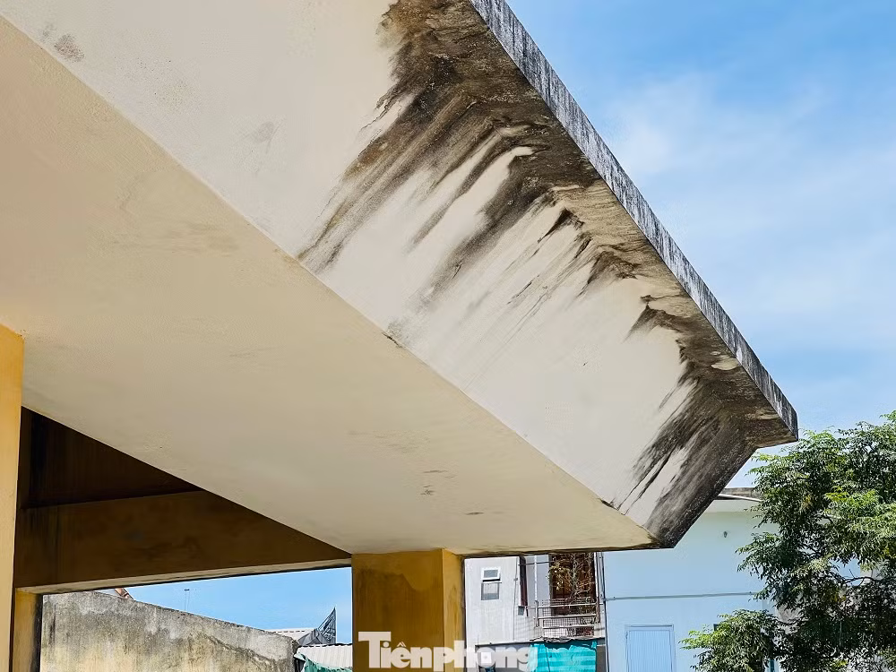 Đã hơn 5 năm sau khi hoàn thiện, khu chợ khang trang từ nguồn xã hội hóa, do UBND huyện Tư Nghĩa làm chủ đầu tư, xây trên diện tích 4.800m2, gồm nhà lồng có 32 lô sạp, 2 dãy 20 ki ốt, tổng vốn đầu tư gần 5 tỷ đồng ở xã Nghĩa Phương vẫn bỏ hoang. Một số công trình, hạng mục phơi nắng, phơi mưa đang dần xuống cấp.