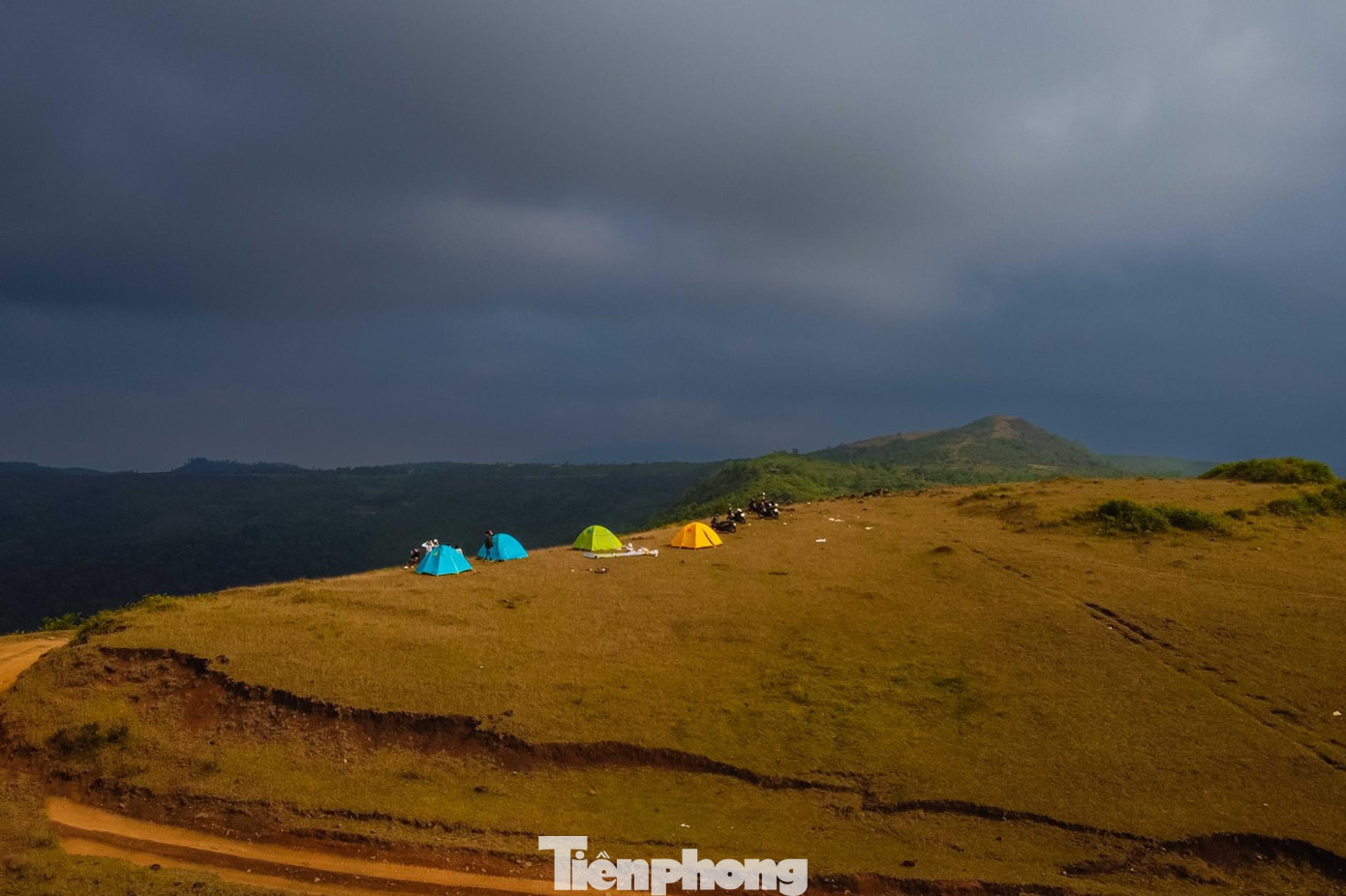 Cứ mỗi mùa thảo nguyên Bùi Hui lại mang một vẻ đẹp riêng. Vào mùa hè, khoảng từ tháng 6-8, nơi đây lại phủ sắc tím mộng mơ bởi những đồi sim đang vào vụ trổ hoa đẹp nhất. Những đồi sim này được người dân bản địa chăm sóc với tổng diện tích lên đến 20 ha. Đây là nơi còn nhiều sim tự nhiên nhất ở Quảng Ngãi. Ảnh: GREENCAMP.