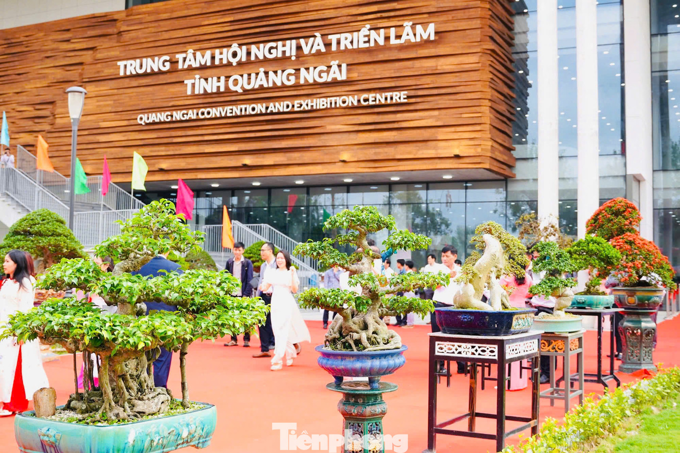 Đây cũng là một trong những sự kiện kỷ niệm 50 năm Ngày giải phóng tỉnh Quảng Ngãi (24/3/1975- 24/3/2025). Ảnh: Nguyễn Ngọc