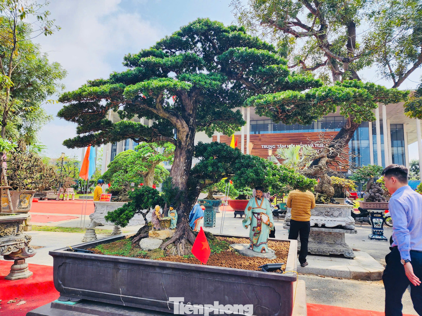 Ông Nguyễn Duy Hiền (TP Quảng Ngãi) nói “Tôi thích những cây duối và những cây cảnh cỡ đại, bởi ở đó ít có bàn tay của con người chạm vào, vẻ đẹp dựa vào tự nhiên tạo nên”. Ảnh: Nguyễn Ngọc