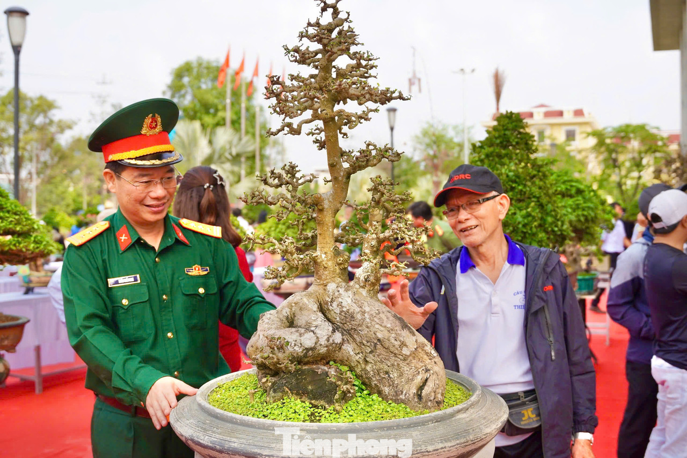 Người thưởng lãm cũng tùy thuộc vào sở thích của mình mà “đứng lại” ở những cây khác nhau để ngắm. Có người thích cây dáng thế tự nhiên, có người thích sự uyển chuyển của cây đến từ bàn tay nghệ nhân sáng tạo. Ảnh: Nguyễn Ngọc