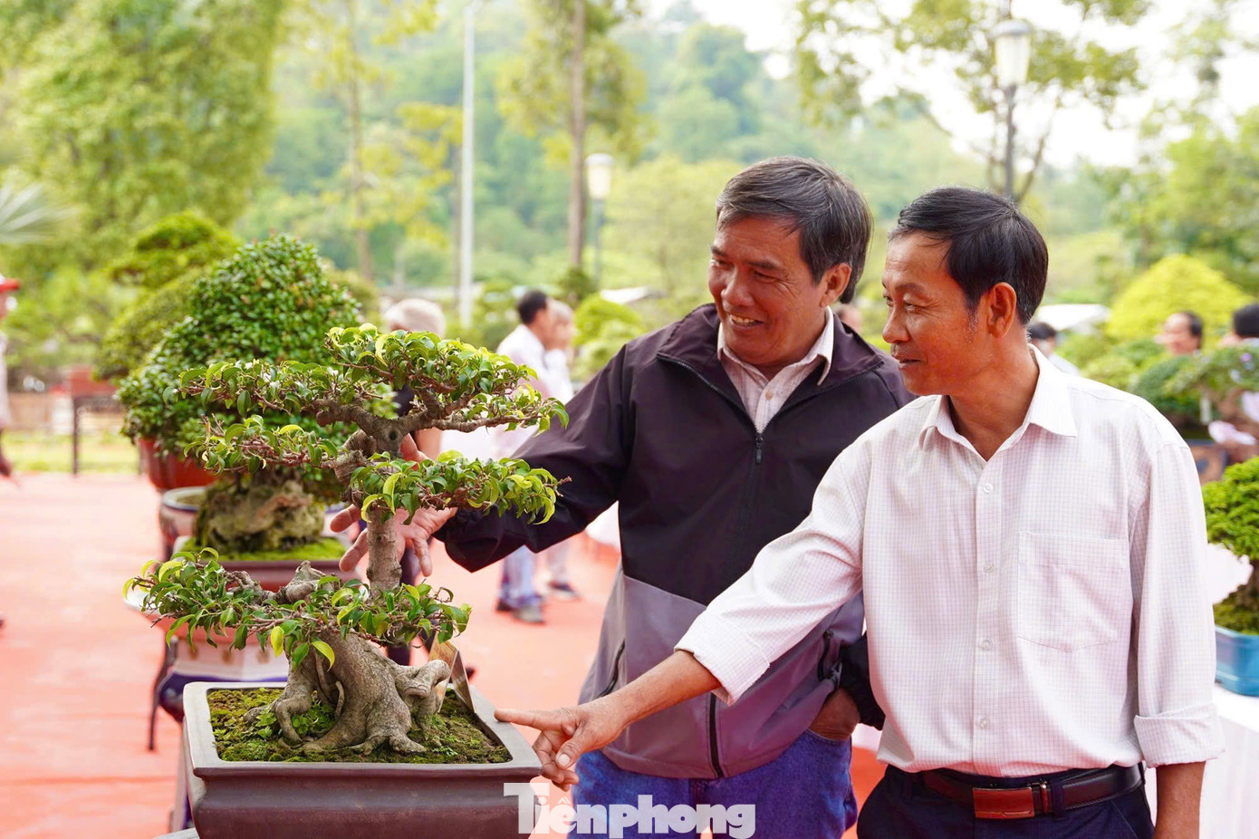 Ông Nguyễn Duy Hiền (TP Quảng Ngãi) nói “Tôi thích những cây duối và những cây cảnh cỡ đại, bởi ở đó ít có bàn tay của con người chạm vào, vẻ đẹp dựa vào tự nhiên tạo nên”. Ảnh: Nguyễn Ngọc