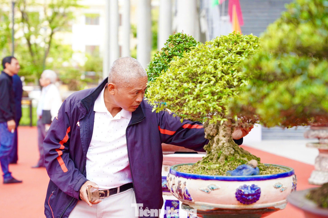 Người thưởng lãm cũng tùy thuộc vào sở thích của mình mà “đứng lại” ở những cây khác nhau để ngắm. Có người thích cây dáng thế tự nhiên, có người thích sự uyển chuyển của cây đến từ bàn tay nghệ nhân sáng tạo. Ảnh: Nguyễn Ngọc