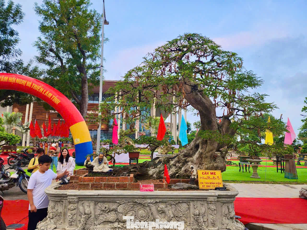 Nhiều tác phẩm bonsai đẹp mắt được trưng bày triển lãm. Ảnh: Nguyễn Ngọc