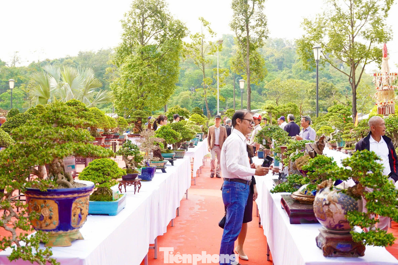 Triển lãm - Hội thi - Hội chợ sinh vật cảnh tỉnh Quảng Ngãi mở rộng năm 2025 được tổ chức tại Trung tâm Hội nghị và Triển lãm tỉnh, diễn ra trong 14 ngày từ ngày 20/3 - 2/4. Ảnh: Nguyễn Ngọc