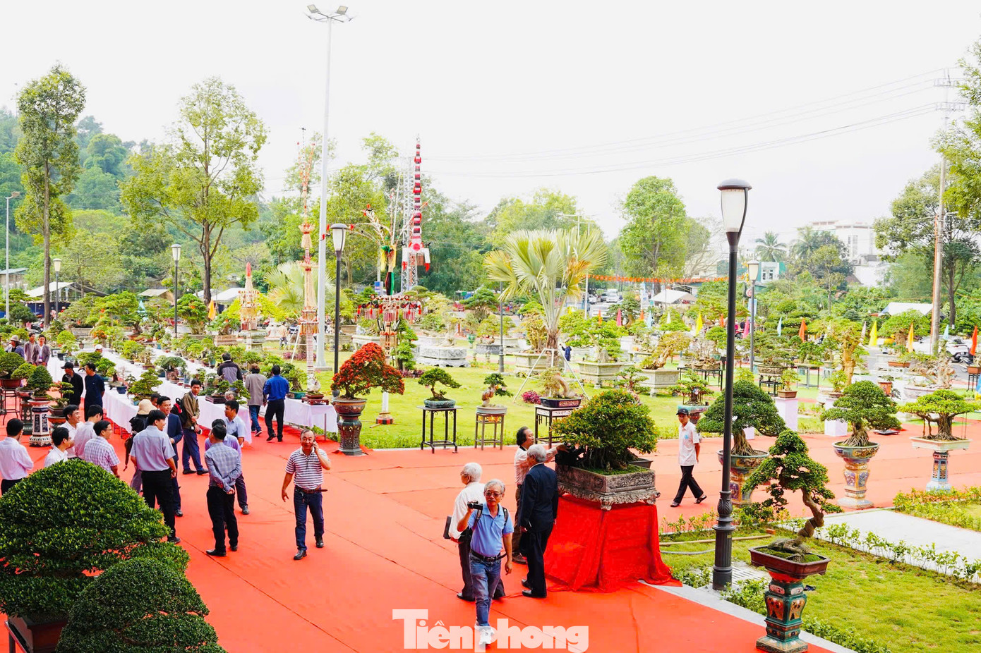 Triển lãm - Hội thi - Hội chợ sinh vật cảnh tỉnh Quảng Ngãi mở rộng năm 2025 được tổ chức tại Trung tâm Hội nghị và Triển lãm tỉnh, diễn ra trong 14 ngày từ ngày 20/3 - 2/4. Ảnh: Nguyễn Ngọc