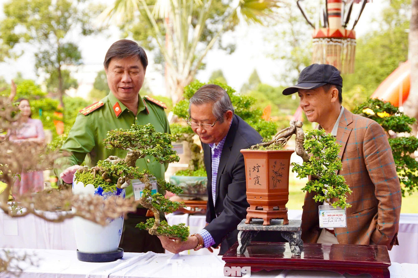 Rất nhiều người dân, du khách đã đến chiêm ngưỡng những tuyệt tác cây cảnh do thiên tạo và bàn tay tài hoa của nghệ nhân mất hàng chục năm tạo tác. Ảnh: Nguyễn Ngọc