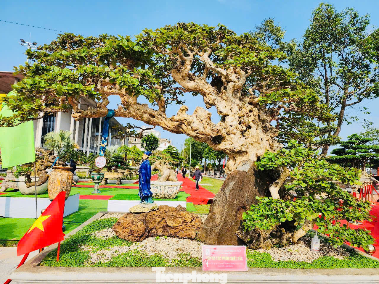 Nhiều du khách, người chơi cây cảnh ở các tỉnh thành cũng đến Quảng Ngãi dịp này. Anh Hoàng Phong (TP Đà Nẵng) cùng hai người bạn ghé triển lãm và mê mẩn trước ngàn cây bonsai hội tụ. Ảnh: Nguyễn Ngọc