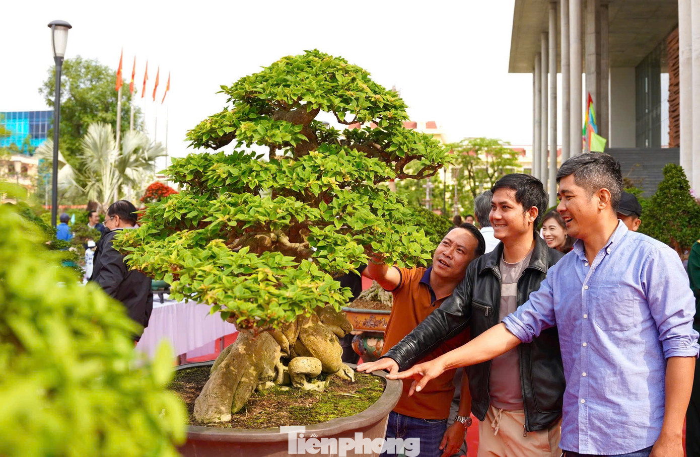 Rất nhiều người dân, du khách đã đến chiêm ngưỡng những tuyệt tác cây cảnh do thiên tạo và bàn tay tài hoa của nghệ nhân mất hàng chục năm tạo tác. Ảnh: Nguyễn Ngọc