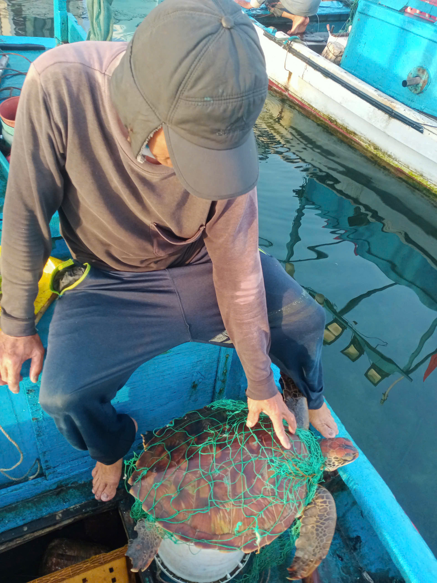 Ngư dân Quảng Ngãi giải cứu chú rùa bị dính "lưới ma".