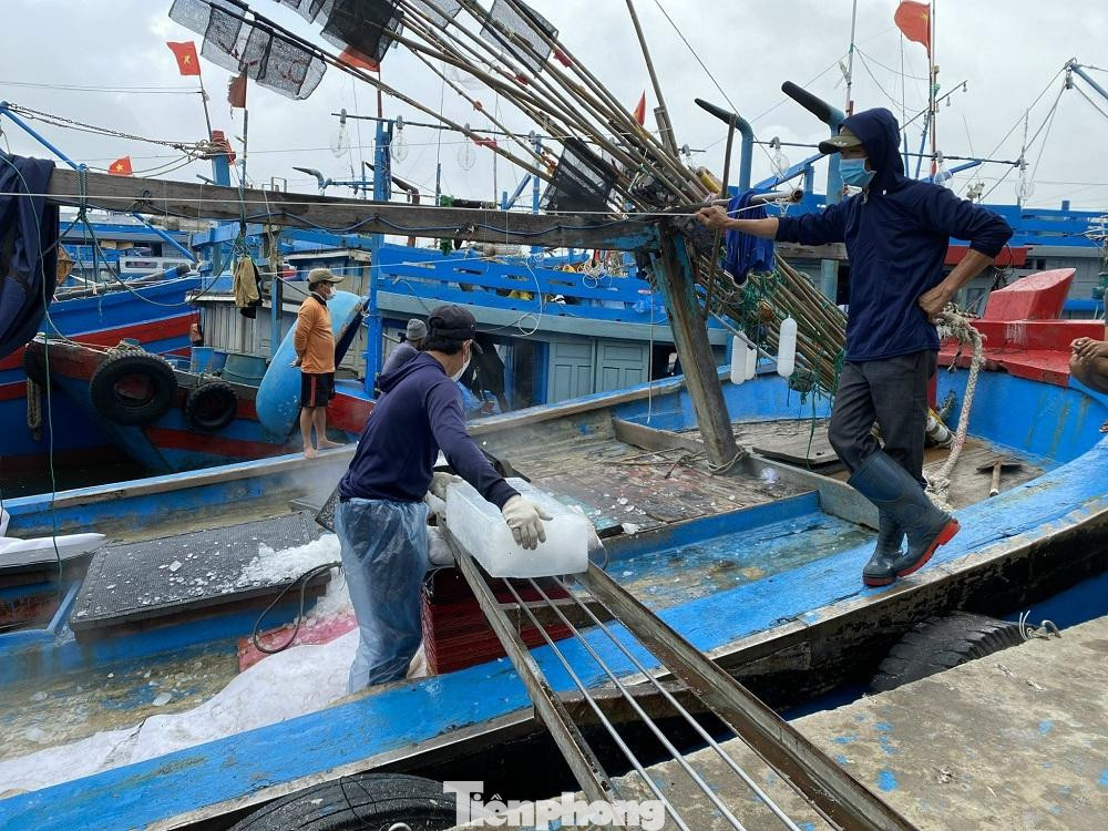 Việc ngư dân trúng đậm “lộc biển” đầu năm, ngoài việc giúp họ có thêm thu nhập trang trải cuộc sống còn góp phần tạo công ăn việc làm cho hàng nghìn lao động thời vụ tại địa phương sau Tết.